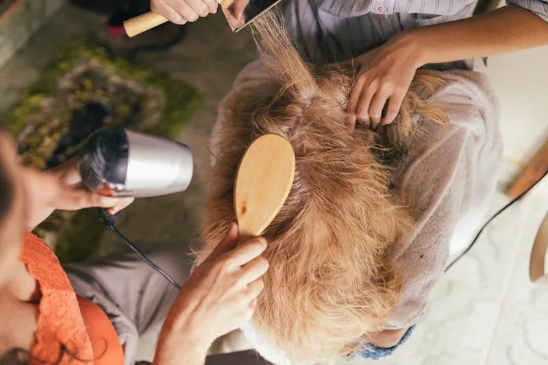 LuxePaws Grooming Aesthetic
