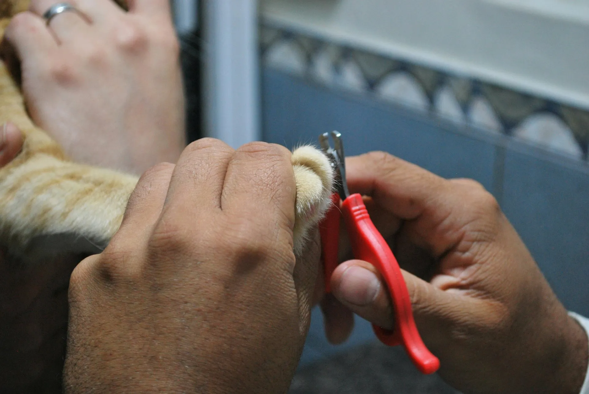 Maintenance Trim