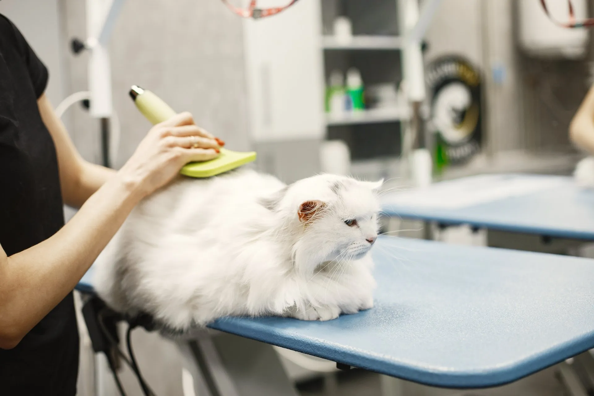 Grooming Process